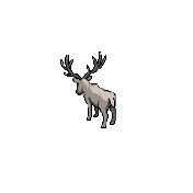Сонная отара — Idle, СЗ