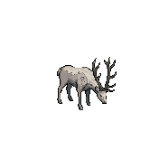 Сонная отара — Idle, ЮВ